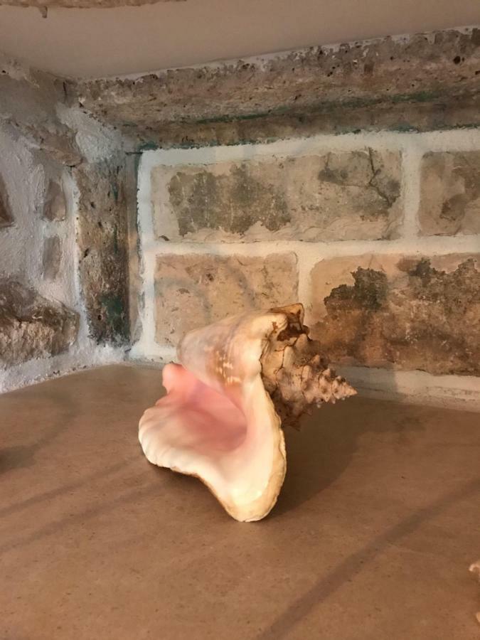 Koko Apartments Korčula Dış mekan fotoğraf